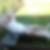 Photo de profil de Regis Gusse