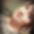 Photo de profil de Marie-Charlotte Chemin