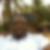 Photo de profil de Moussa Tall