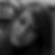 Photo de profil de Morine Lesage