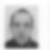 Photo de profil de Luc Cambié