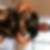 Photo de profil de Goncalves Emmanuel