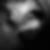 Photo de profil de Wiliam Buffetrille