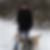 Photo de profil de Franck Lheritier