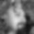 Photo de profil de Bernard de Clairvaux