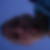 Photo de profil de Brice Campy
