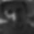 Photo de profil de Philippe Marlin