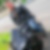Photo de profil de David Rumpler