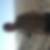 Photo de profil de Willy Goven