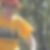Photo de profil de Guylaine Fanjaud
