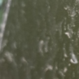 Photo de profil de Daniel Liebenguth
