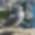 Photo de profil de Franck Hasler