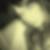 Photo de profil de Catherine Thenault