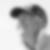 Photo de profil de Christian Del Missier