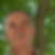 Photo de profil de Patrice Cosson