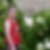 Photo de profil de Willy Jacques