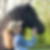 Photo de profil de Aurelia Develle Renault