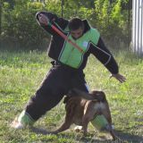 Photo de profil de Laurent Hernandez