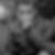 Photo de profil de Ammar Dhif