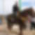 Photo de profil de Yazid Naili