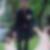 Photo de profil de Falempin Stephanie