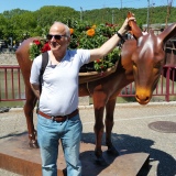 Photo de profil de Alain Alujas