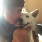 Photo de profil de Alexis Goyer