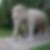 Photo de profil de Sophie Carnot
