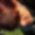 Photo de profil de Delphine Ancelot