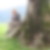 Photo de profil de Fabienne Schaefter