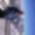 Photo de profil de Guy Chassagne