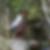 Photo de profil de Lionel Morele