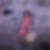 Photo de profil de Alice Lescuyer