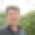 Photo de profil de Laurent Pupin