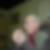 Photo de profil de Michel Arnault