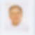Photo de profil de Alain Havard