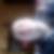 Photo de profil de Yannick Thire