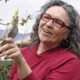 Photo de profil de Maryvonne Grès
