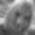 Photo de profil de Sophie Goren