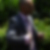 Photo de profil de Raphael Gauguet