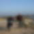 Photo de profil de Marc Blin