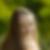 Photo de profil de Paula Strzyzowski