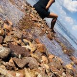 Photo de profil de Angelique Farcy