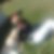 Photo de profil de Linda Tesse