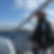 Photo de profil de Gerard Buhler