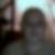 Photo de profil de Herve Blondel