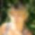 Photo de profil de Jocelyne Pailler