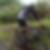 Photo de profil de Alban Gomes