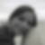 Photo de profil de Hélène Maufay