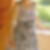 Photo de profil de Roxane Pupunat